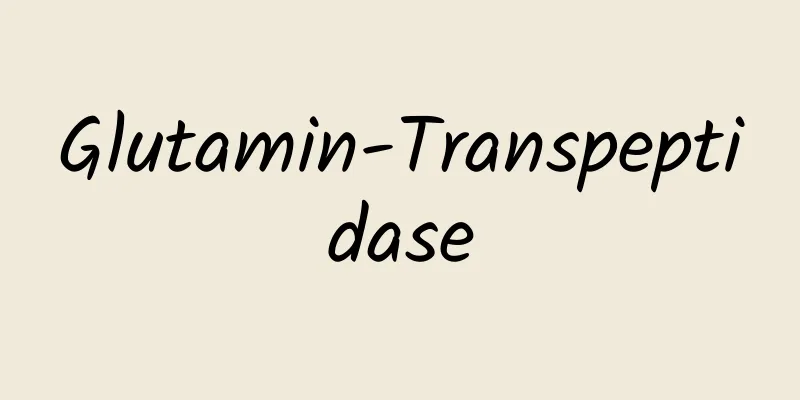 Glutamin-Transpeptidase