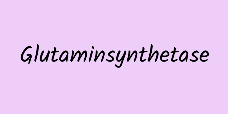 Glutaminsynthetase