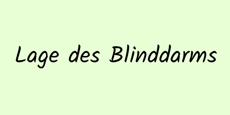 Lage des Blinddarms