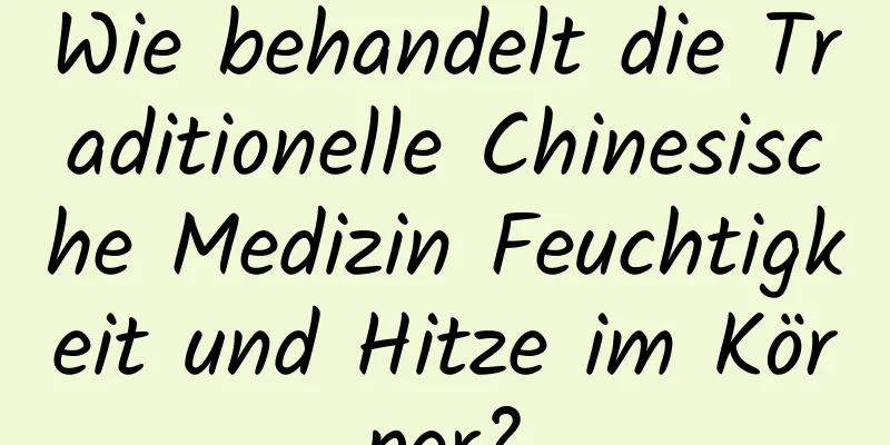 Wie behandelt die Traditionelle Chinesische Medizin Feuchtigkeit und Hitze im Körper?