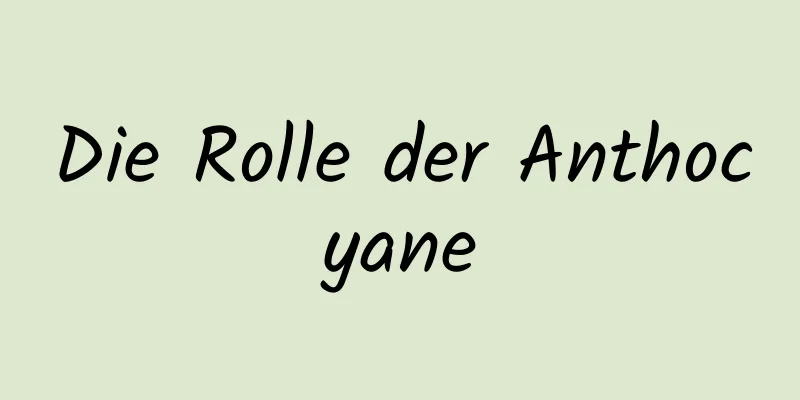 Die Rolle der Anthocyane