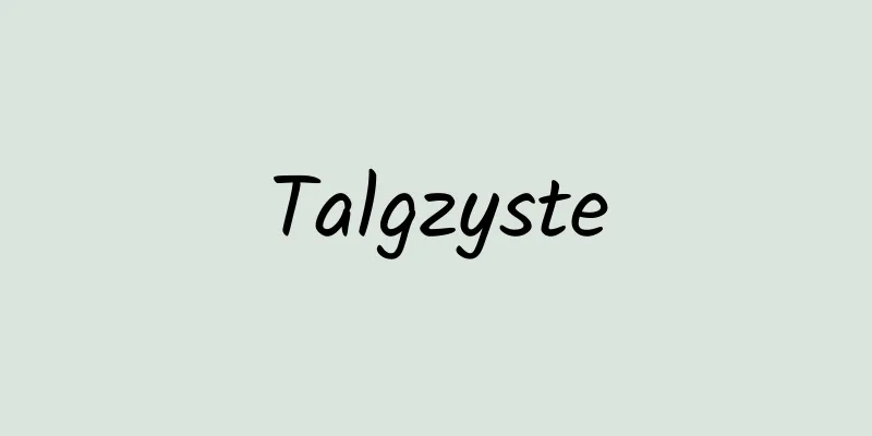 Talgzyste