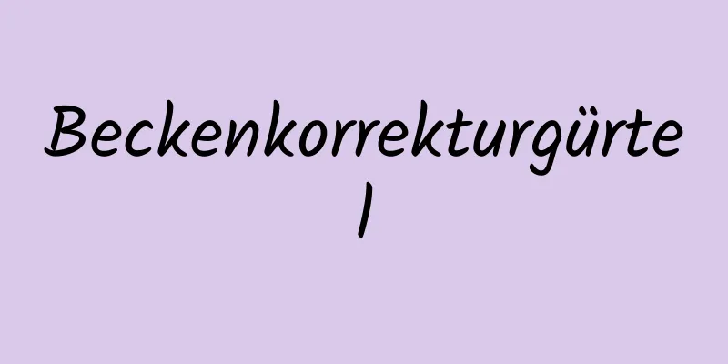 Beckenkorrekturgürtel