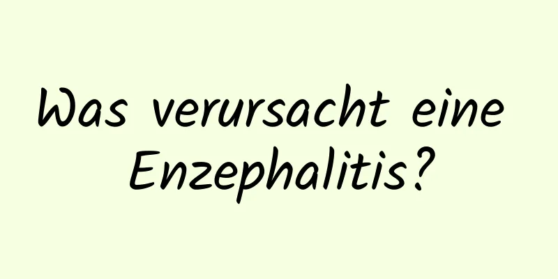 Was verursacht eine Enzephalitis?