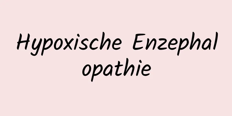 Hypoxische Enzephalopathie