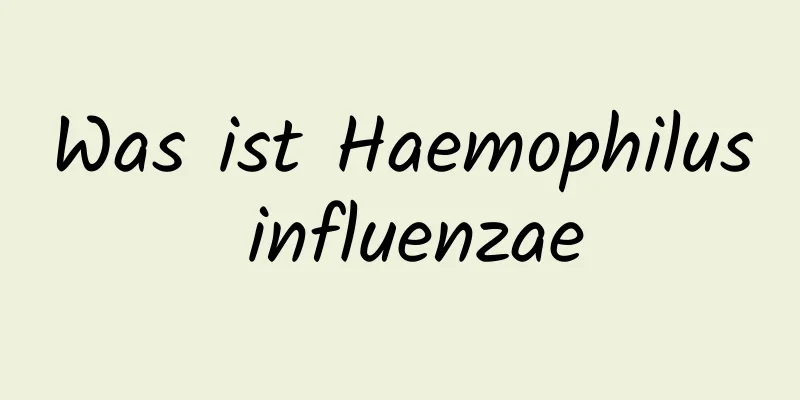 Was ist Haemophilus influenzae