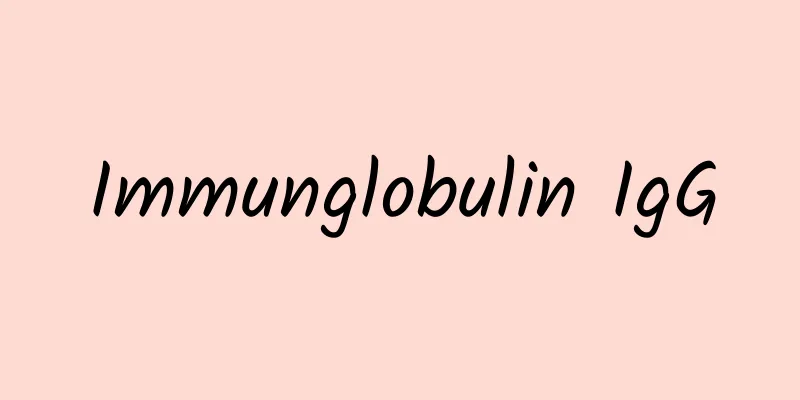 Immunglobulin IgG