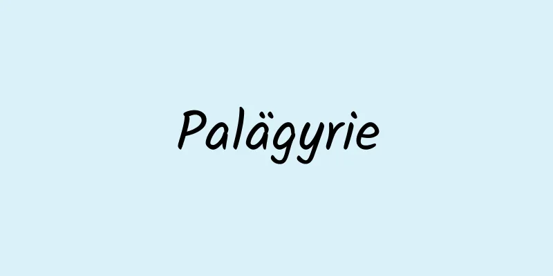 Palägyrie