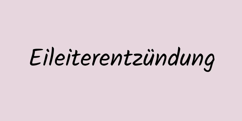 Eileiterentzündung