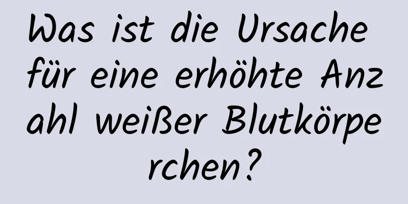 Was ist die Ursache für eine erhöhte Anzahl weißer Blutkörperchen?