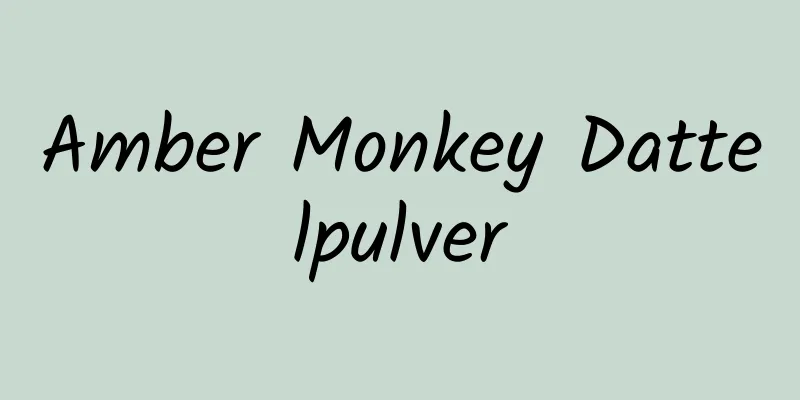 Amber Monkey Dattelpulver