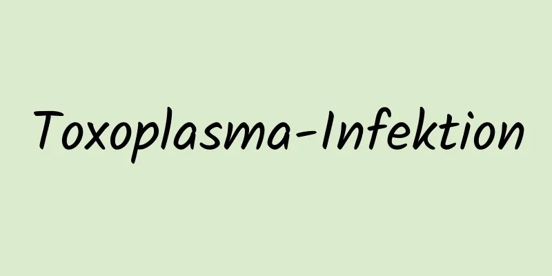 Toxoplasma-Infektion