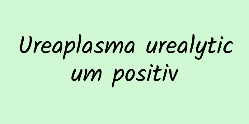 Ureaplasma urealyticum positiv