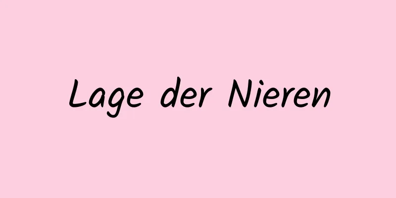 Lage der Nieren