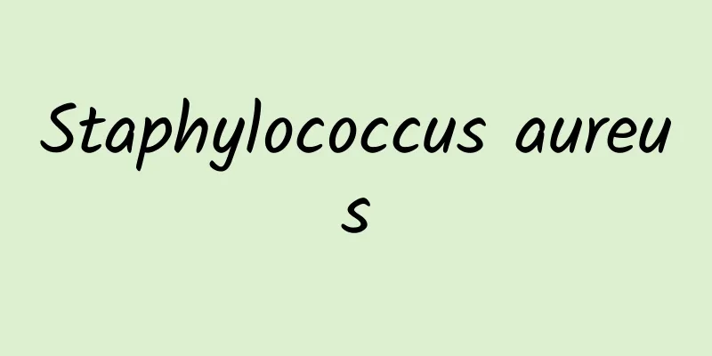 Staphylococcus aureus