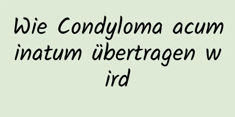 Wie Condyloma acuminatum übertragen wird