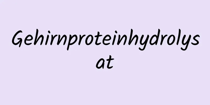 Gehirnproteinhydrolysat