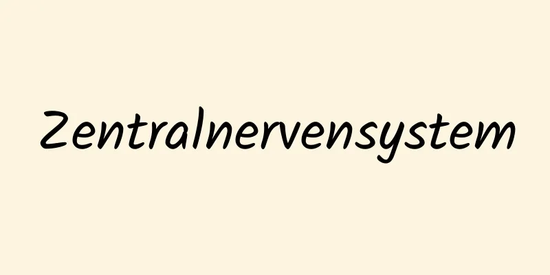 Zentralnervensystem