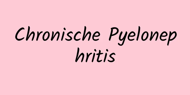 Chronische Pyelonephritis