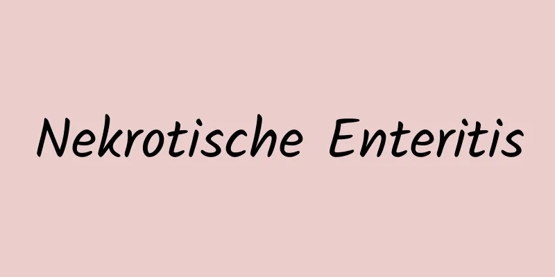 Nekrotische Enteritis