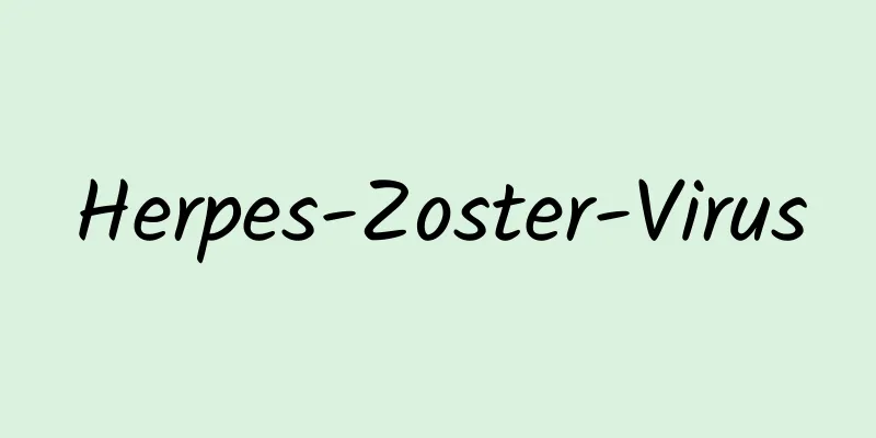 Herpes-Zoster-Virus