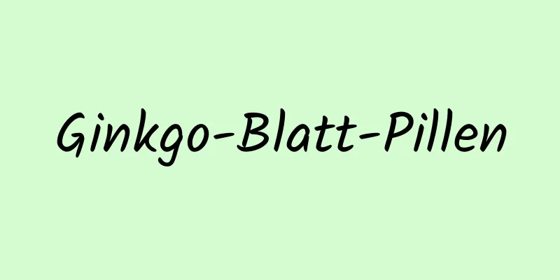 Ginkgo-Blatt-Pillen