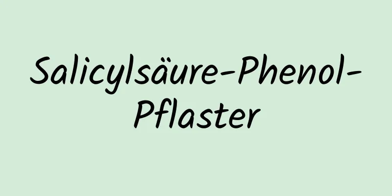 Salicylsäure-Phenol-Pflaster