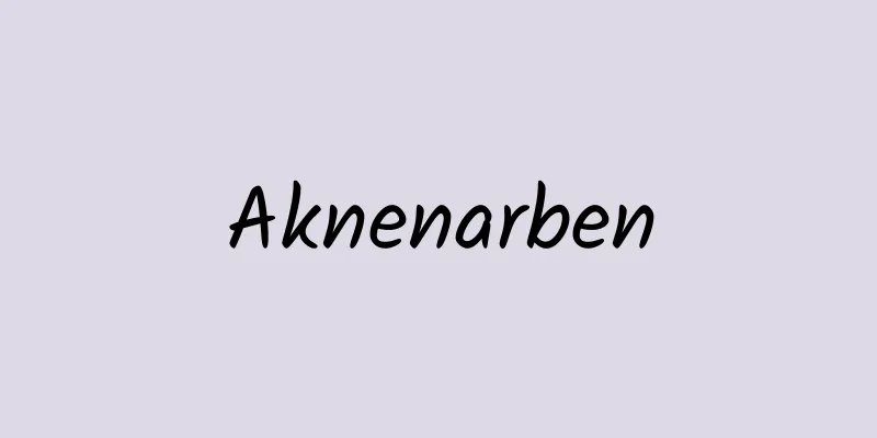 Aknenarben