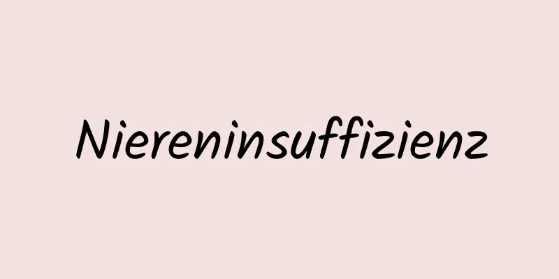 Niereninsuffizienz