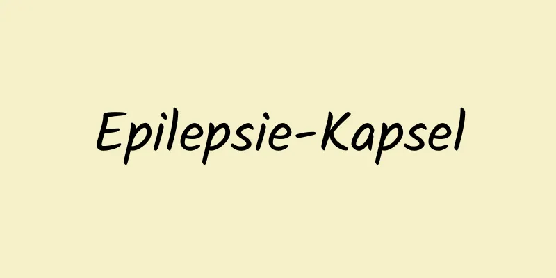 Epilepsie-Kapsel