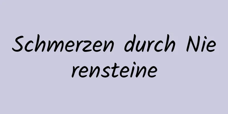 Schmerzen durch Nierensteine