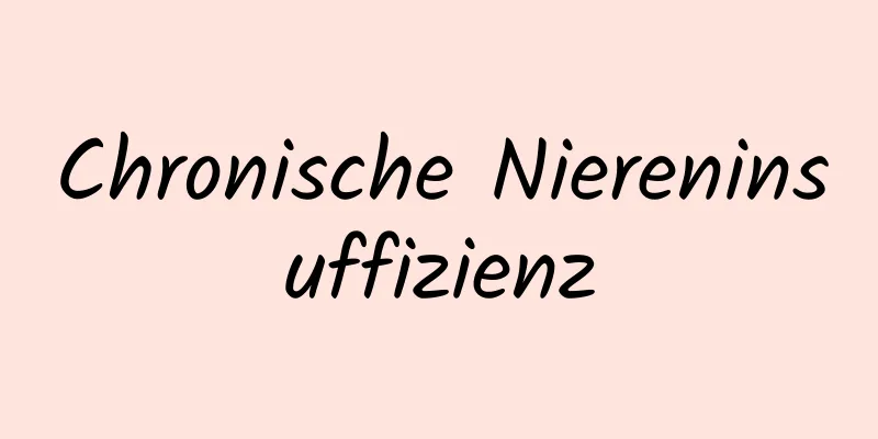 Chronische Niereninsuffizienz