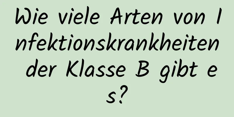 Wie viele Arten von Infektionskrankheiten der Klasse B gibt es?