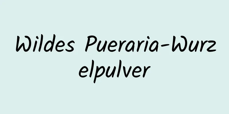 Wildes Pueraria-Wurzelpulver