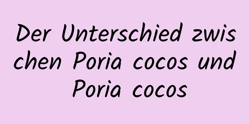 Der Unterschied zwischen Poria cocos und Poria cocos