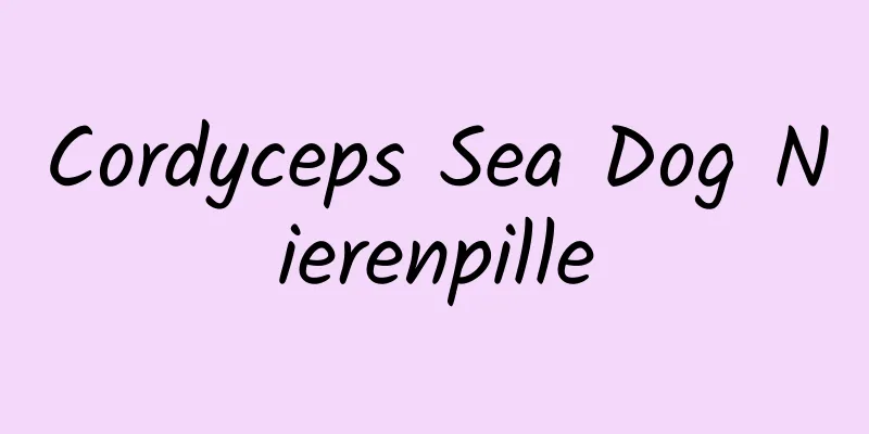 Cordyceps Sea Dog Nierenpille