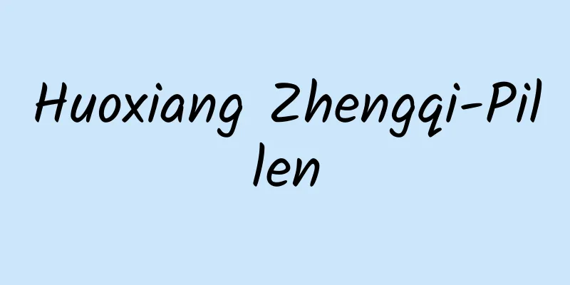 Huoxiang Zhengqi-Pillen