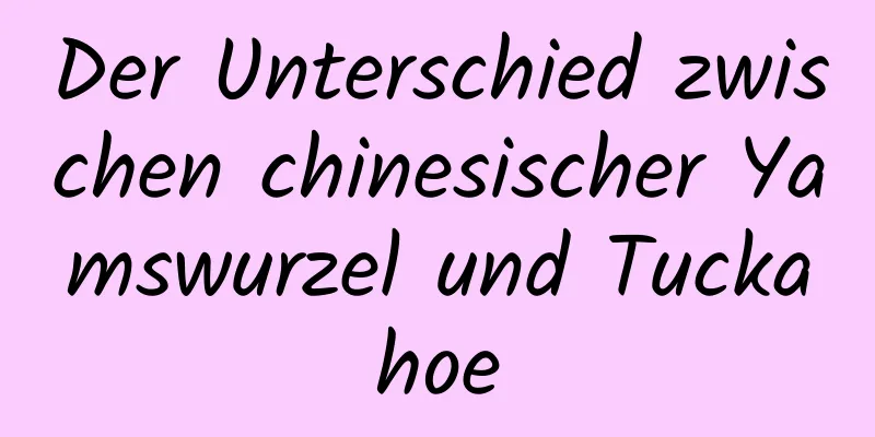 Der Unterschied zwischen chinesischer Yamswurzel und Tuckahoe