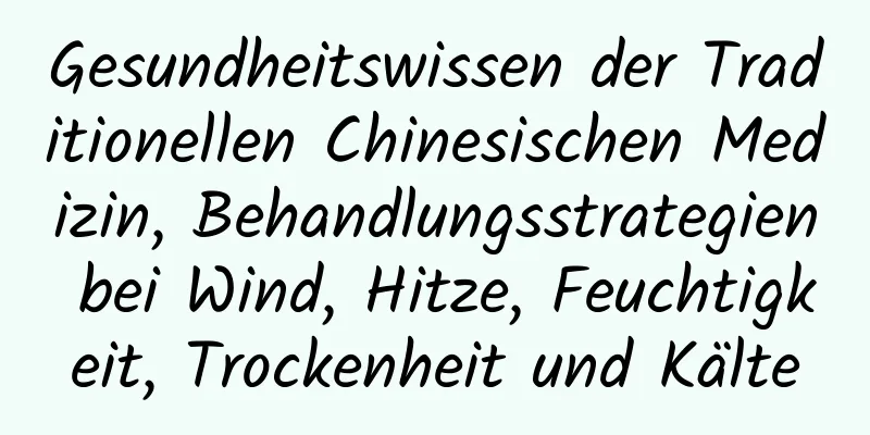 Gesundheitswissen der Traditionellen Chinesischen Medizin, Behandlungsstrategien bei Wind, Hitze, Feuchtigkeit, Trockenheit und Kälte