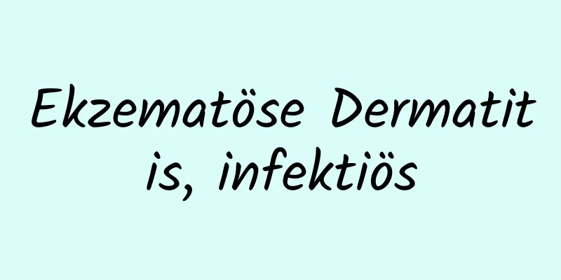 Ekzematöse Dermatitis, infektiös