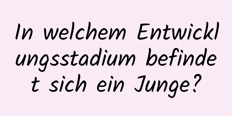 In welchem ​​Entwicklungsstadium befindet sich ein Junge?