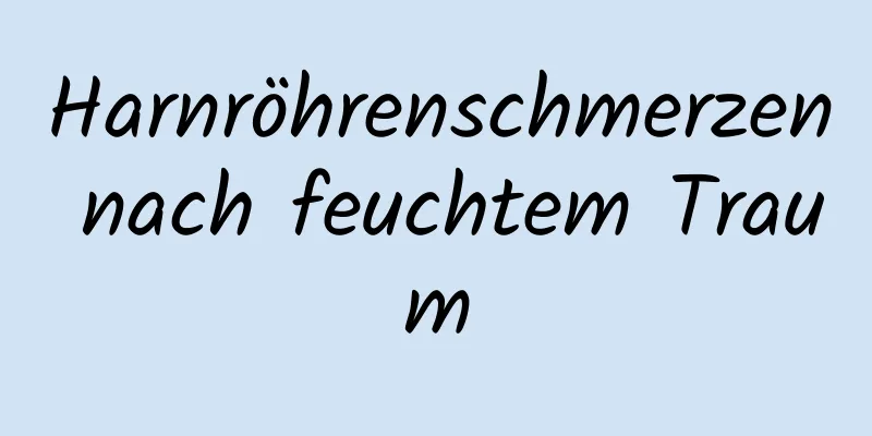 Harnröhrenschmerzen nach feuchtem Traum