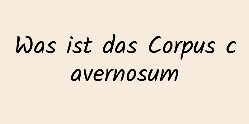 Was ist das Corpus cavernosum