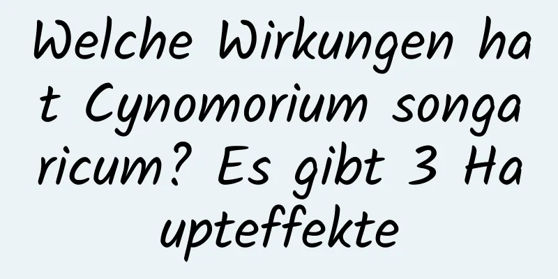 Welche Wirkungen hat Cynomorium songaricum? Es gibt 3 Haupteffekte