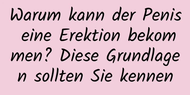 Warum kann der Penis eine Erektion bekommen? Diese Grundlagen sollten Sie kennen