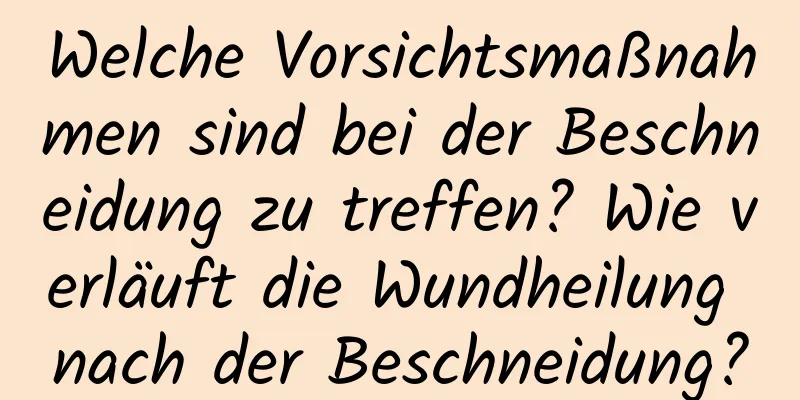 Welche Vorsichtsmaßnahmen sind bei der Beschneidung zu treffen? Wie verläuft die Wundheilung nach der Beschneidung?