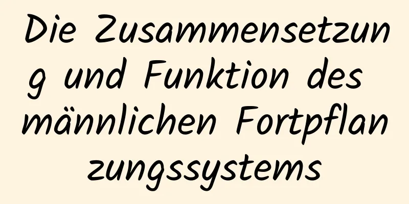 Die Zusammensetzung und Funktion des männlichen Fortpflanzungssystems