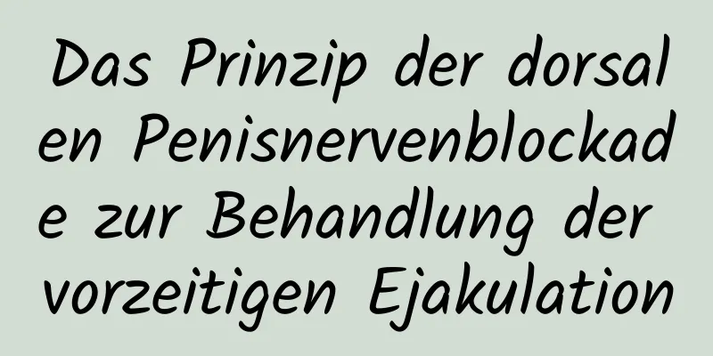 Das Prinzip der dorsalen Penisnervenblockade zur Behandlung der vorzeitigen Ejakulation