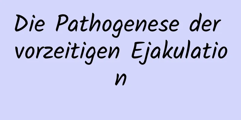 Die Pathogenese der vorzeitigen Ejakulation