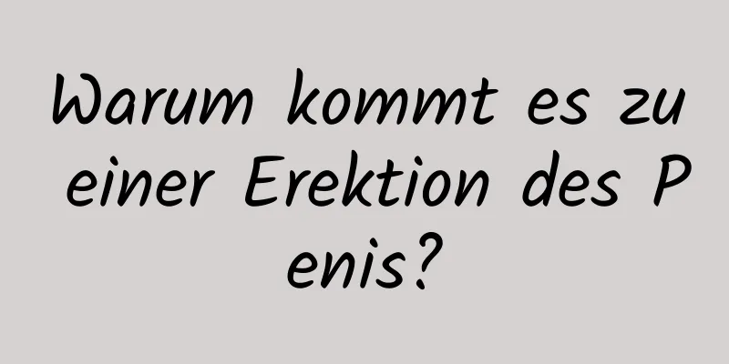 Warum kommt es zu einer Erektion des Penis?